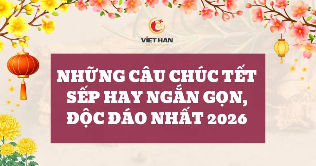 Những câu chúc Tết sếp hay ngắn gọn, độc đáo cho Tết Bính Ngọ 2026