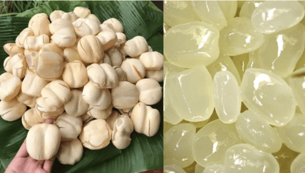 Đặc sản quê hương