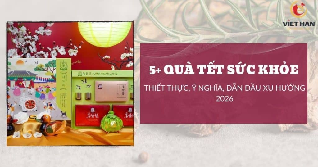 Top 5+ quà Tết sức khỏe thiết thực, ý nghĩa, dẫn đầu xu hướng 2026