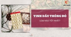 Tinh dầu thông đỏ loại nào tốt nhất? Top 3 sản phẩm bán chạy 2025