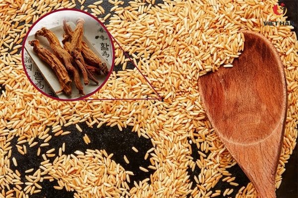 Sử dụng gạo rang bảo quản hồng sâm khô