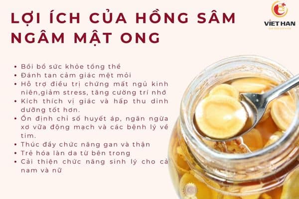 Lợi ích của hồng sâm ngâm mật ong