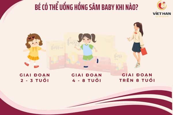 Khi nào mẹ nên bắt đầu cho bé dùng hồng sâm