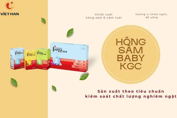 Giá hồng sâm baby trên thị trường năm 2026