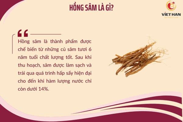 Hồng sâm là gì