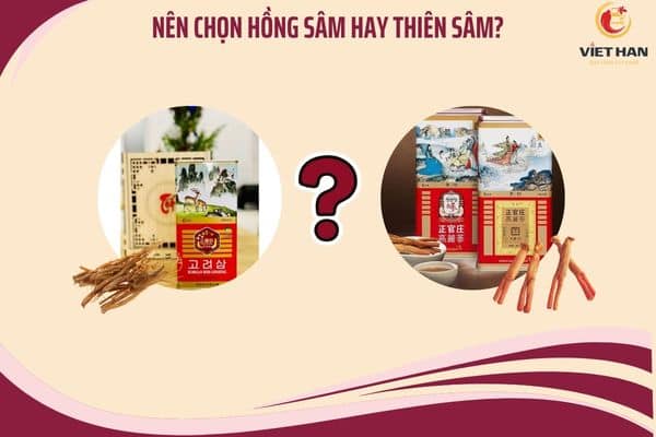 hồng sâm và thiên sâm khác nhau thế nào