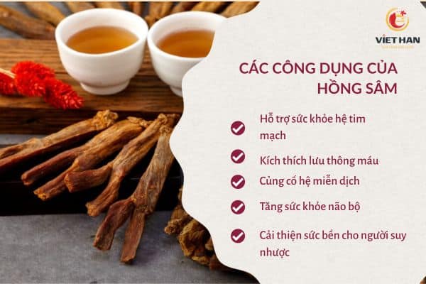 Các công dụng của hồng sâm