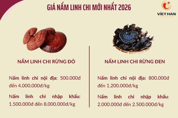 야생 흑영지 가격