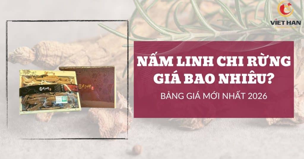 Nấm linh chi rừng giá bao nhiêu? Bảng giá mới nhất 2026