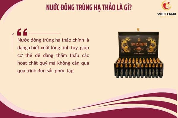 Nước đông trùng hạ thảo là gì