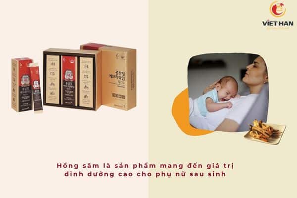 Giá trị dinh dưỡng cốt lõi của hồng sâm đối với cơ thể phụ nữ sau sinh