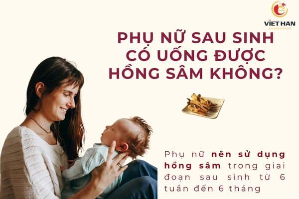 Phụ nữ sau sinh có được uống hồng sâm không
