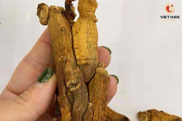 Nguồn gốc và quy trình làm ra hồng sâm củ khô Hàn Quốc
