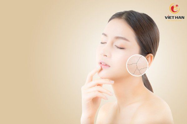 Sâm khô Hàn Quốc có tác dụng gì