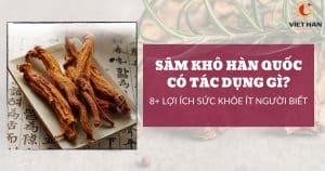 Sâm khô Hàn Quốc có tác dụng gì? 8+ lợi ích sức khỏe ít người biết