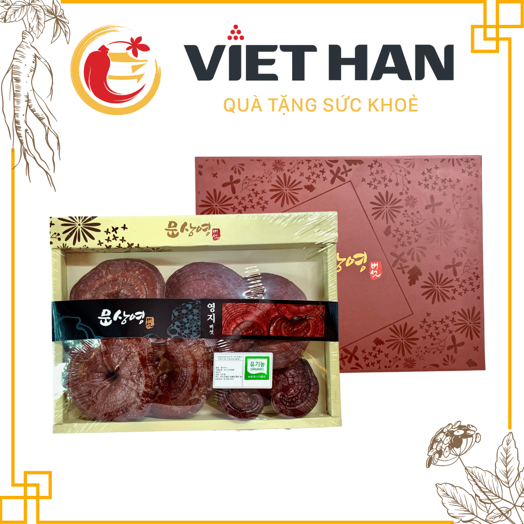 Lưu ý khi sử dụng các loại nấm linh chi