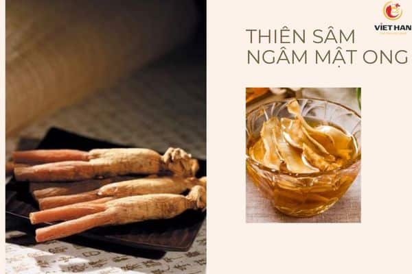 Cách sử dụng Thiên sâm Chính phủ Hàn Quốc hiệu quả