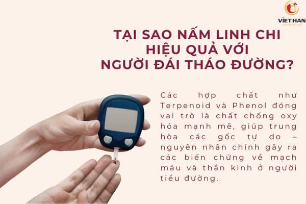 Tại sao nấm linh chi lại hiệu quả với người đái tháo đường