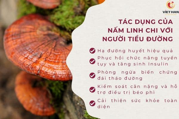 Tác dụng của nấm linh chi với người bị tiểu đường