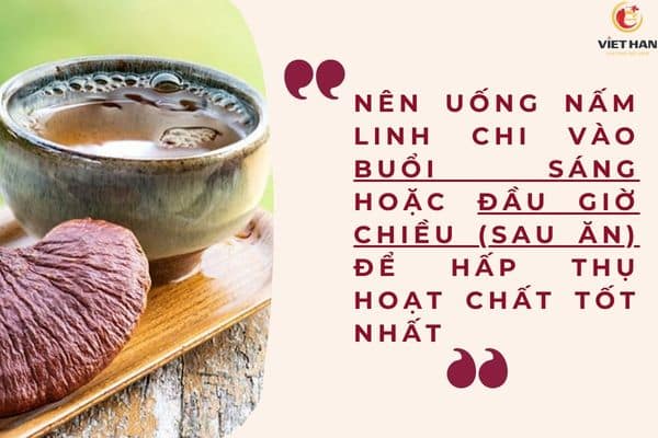 Thời điểm "vàng" để sử dụng nấm linh chi cho người bị tiểu đường