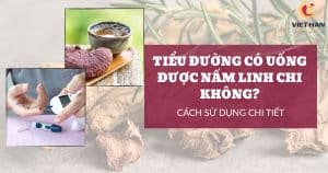 Tiểu đường có uống được nấm linh chi không? Cách sử dụng chi tiết
